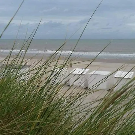 Hébergement de vacances Luxe Vakantiechalet Met Omheinde Tuin 6pers Bredene